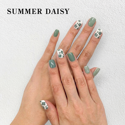 SUMMER DAISY