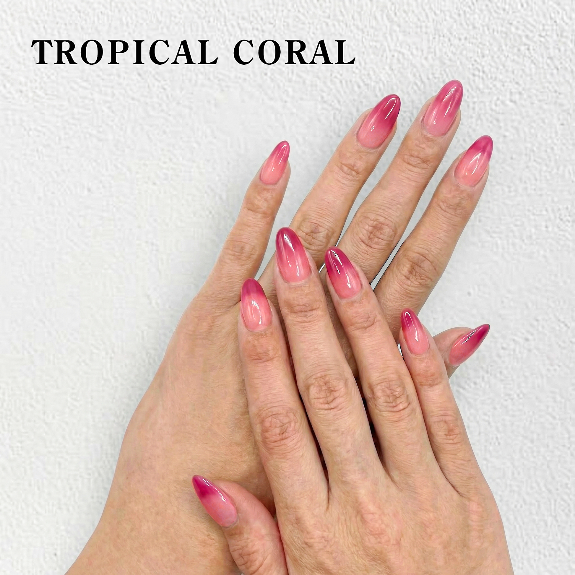 TROPICAL CORAL